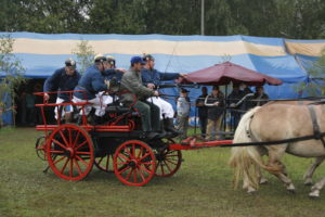 01909 Bühlau bei Großharthau