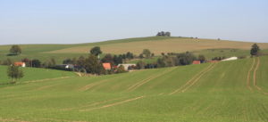 01909 Bühlau bei Großharthau