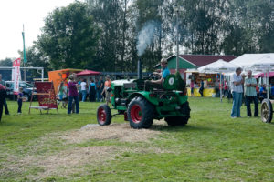 01909 Bühlau bei Großharthau