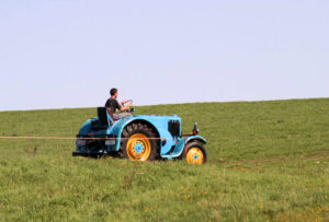 01909 Bühlau bei Großharthau