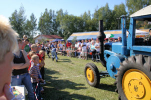 01909 Bühlau bei Großharthau