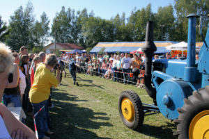 01909 Bühlau bei Großharthau