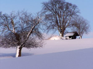 01909 Bühlau bei Großharthau