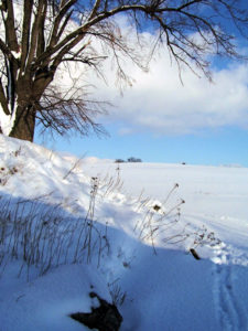 01909 Bühlau bei Großharthau