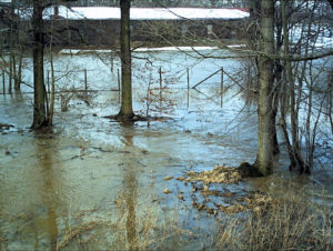 01909 Bühlau bei Großharthau