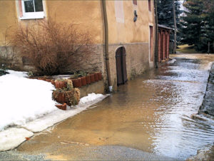 01909 Bühlau bei Großharthau