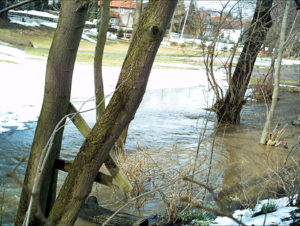 01909 Bühlau bei Großharthau