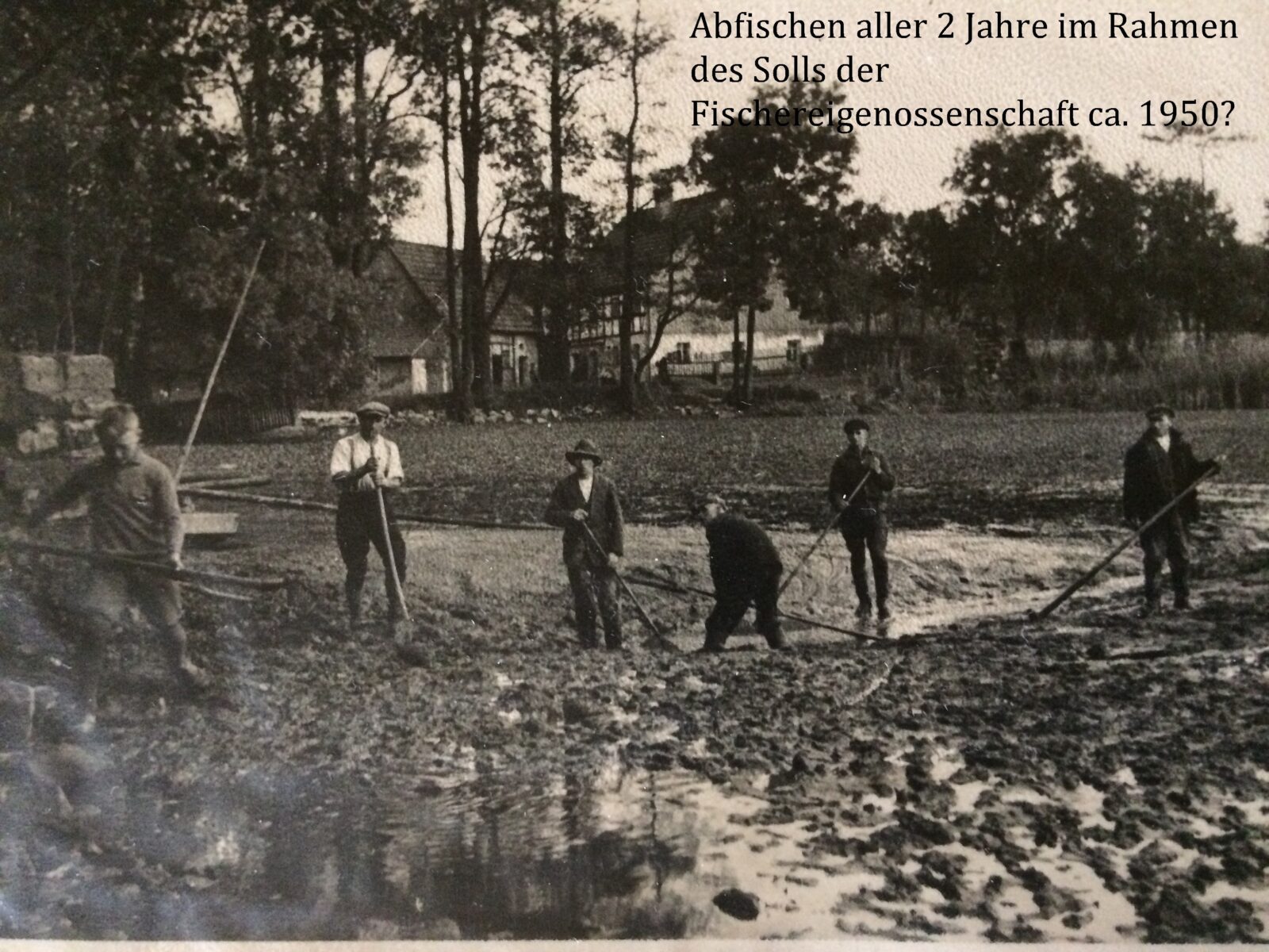 Die Dammmühle und die Familie Rodig